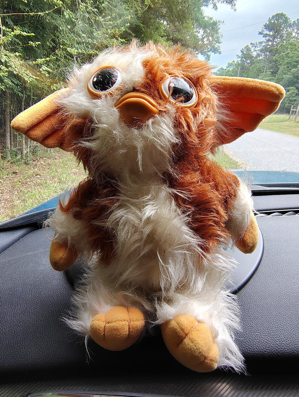 Gizmo! Vintage Plush from Gremlins Hasbro Squeaky Toy